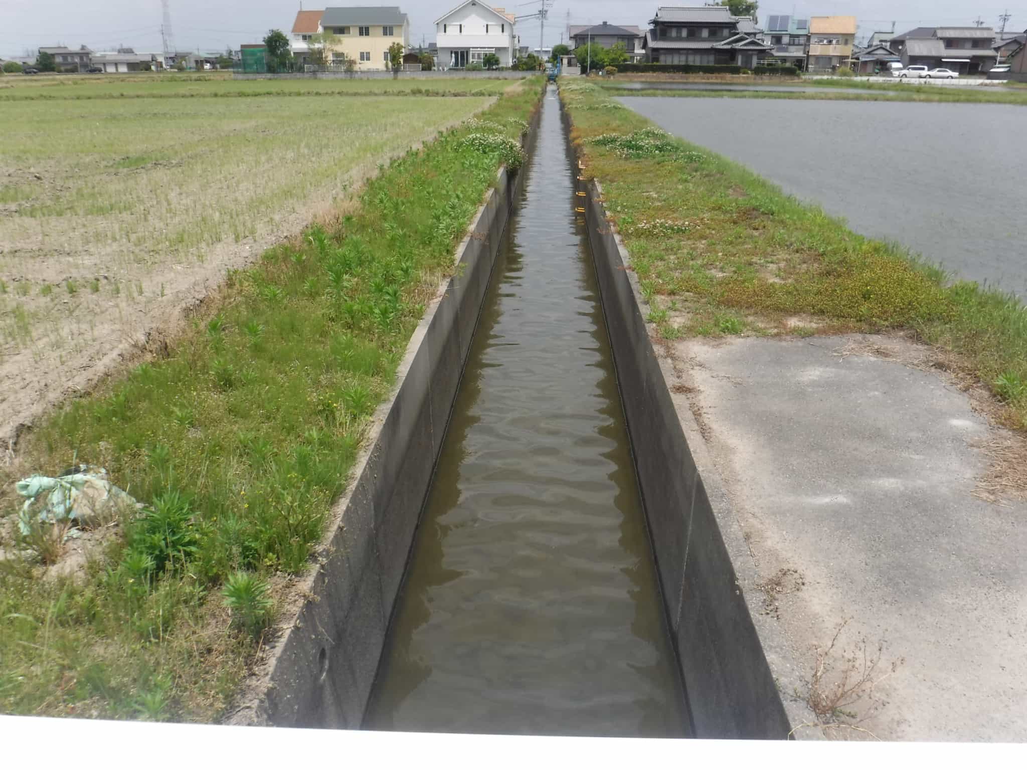 土吐川の画像1