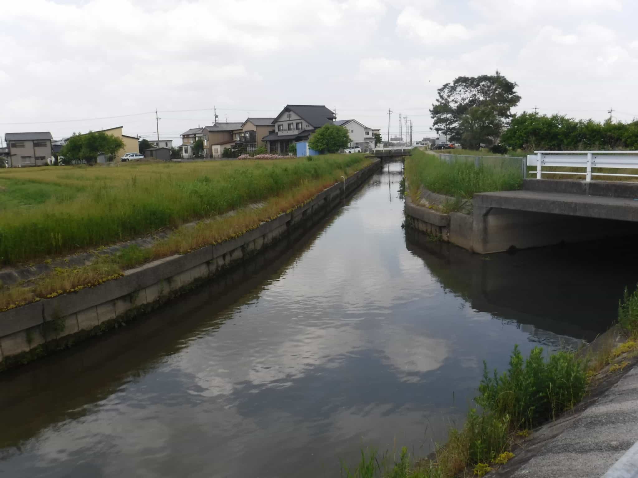 土吐川の画像2
